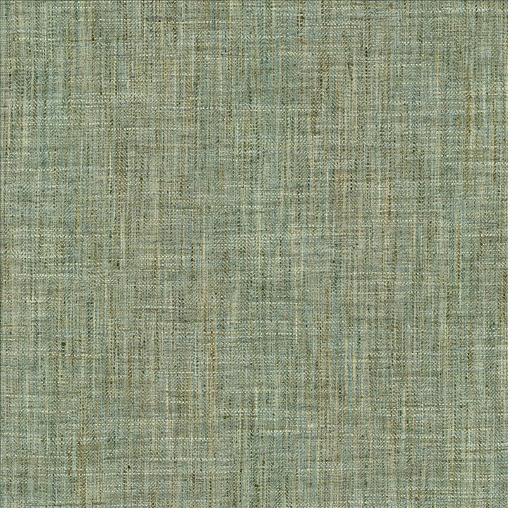 Best In Show Mineral by Kasmir Fabric 5145 100% Polyester
 INDIA </p><p>Repeat: Horizontal: N/A and Vertical: N/A 55 - Fabric Carolina -