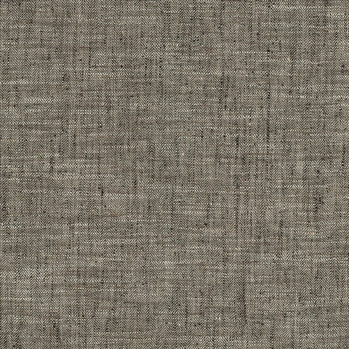 Best In Show Shadow by Kasmir Fabric 5141 100% Polyester
 INDIA 30,000 Wyzenbeek Double Rubs </p><p>Repeat: Horizontal: N/A and Vertical: N/A 55 - Fabric Carolina -