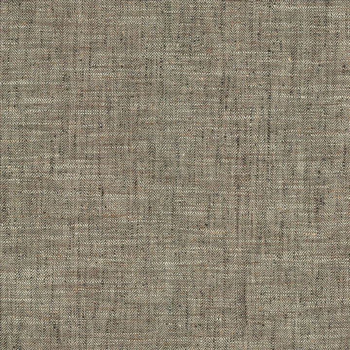 Best In Show Shadow by Kasmir Fabric 5141 100% Polyester
 INDIA </p><p>Repeat: Horizontal: N/A and Vertical: N/A 55 - Fabric Carolina -