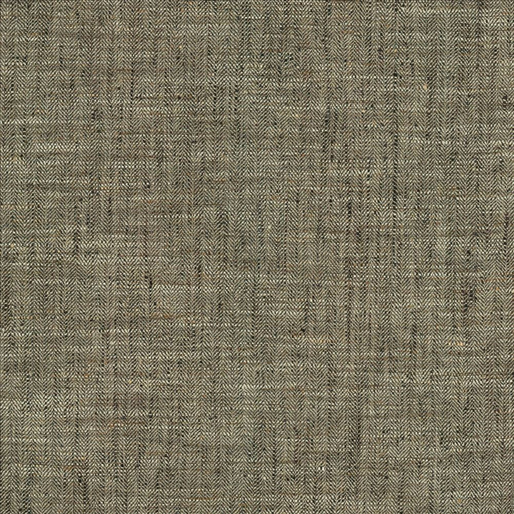 Best In Show Shadow by Kasmir Fabric 5141 100% Polyester INDIA 30,000 Wyzenbeek Double Rubs Horizontal: 0 Inches and Vertical: 0 Inches 55 - Fabric Carolina -