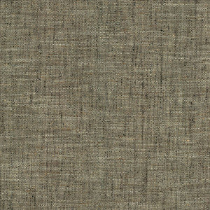 Best In Show Shadow by Kasmir Fabric