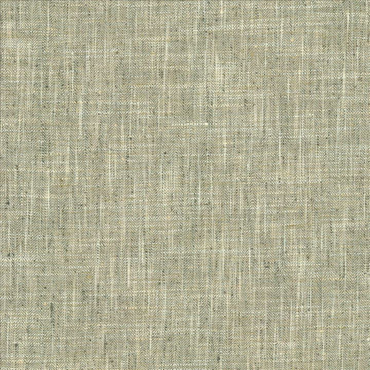 Best In Show Slate by Kasmir Fabric 5144 100% Polyester
 INDIA </p><p>Repeat: Horizontal: N/A and Vertical: N/A 55 - Fabric Carolina -