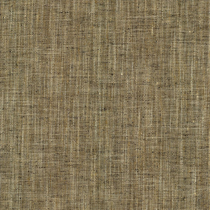 Best In Show Alloy by Kasmir Fabric 5141 100% Polyester
 INDIA </p><p>Repeat: Horizontal: N/A and Vertical: N/A 55 - Fabric Carolina -