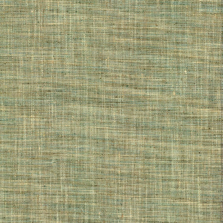 Best In Show Jade by Kasmir Fabric 5142 100% Polyester
 INDIA </p><p>Repeat: Horizontal: N/A and Vertical: N/A 55 - Fabric Carolina -