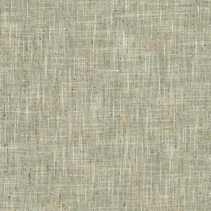 Best In Show Slate by Kasmir Fabric 5144 100% Polyester
 INDIA </p><p>Repeat: Horizontal: N/A and Vertical: N/A 55 - Fabric Carolina -