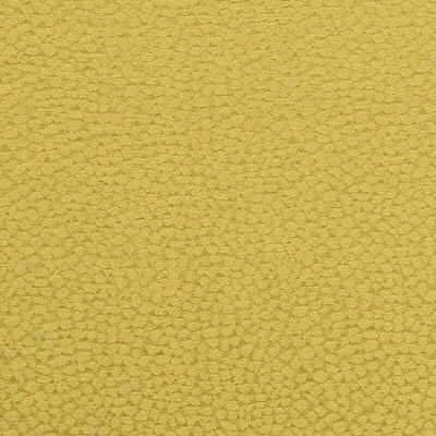 Pebbles Fern by G P & J Baker Fabric