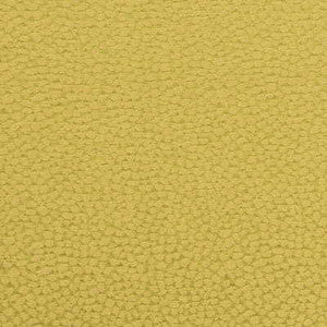 Pebbles Fern by G P & J Baker Fabric