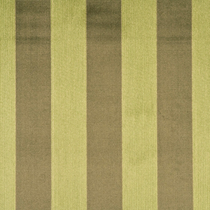 Astley Stripe Velvet Taupe/Spring by G P & J Baker Fabric