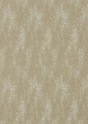 Gosford Stone by G P & J Baker Fabric