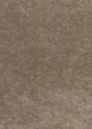 King'S Velvet Mink by G P & J Baker Fabric