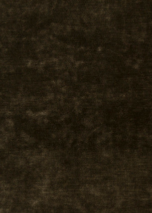 King'S Velvet Bronze by G P & J Baker Fabric