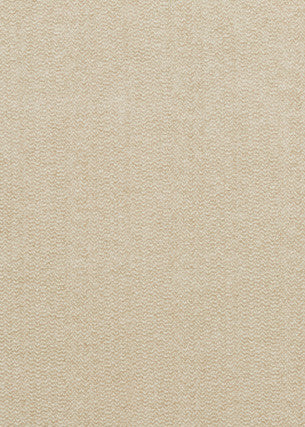 Palace Weave Parchment by G P & J Baker Fabric