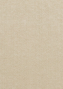 Palace Weave Parchment by G P & J Baker Fabric