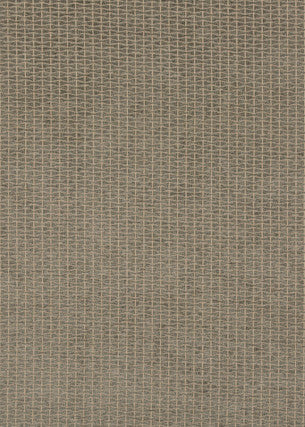 Vortex Graphite by G P & J Baker Fabric