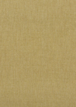 Blizzard Spring by G P & J Baker Fabric