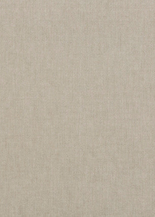 Blizzard Silver by G P & J Baker Fabric