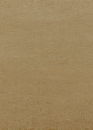 Essential Velvet Camel by G P & J Baker Fabric