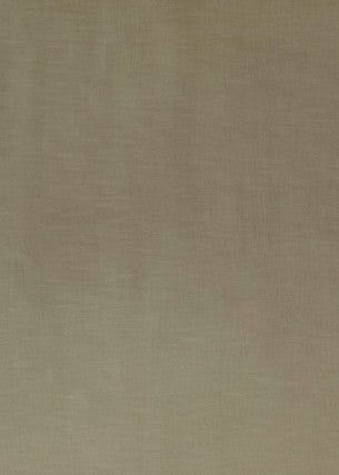 Coniston Velvet Limestone by G P & J Baker Fabric