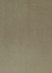 Coniston Velvet Limestone by G P & J Baker Fabric