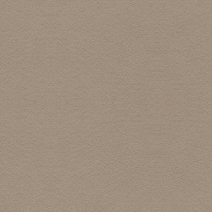 Ultrasuede Stone by G P & J Baker Fabric
