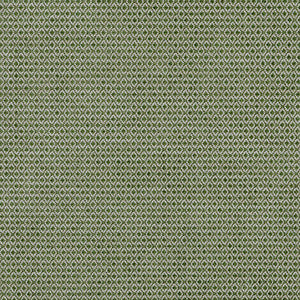 Cosgrove Moss by Lee Jofa Fabric
