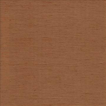 Bharat Autumn by Kasmir Fabric 5094 100% Polyester INDIA 20,000 Martindale Cycles H: N/A, V: N/A 53 - 54 - Fabric Carolina - Kasmir