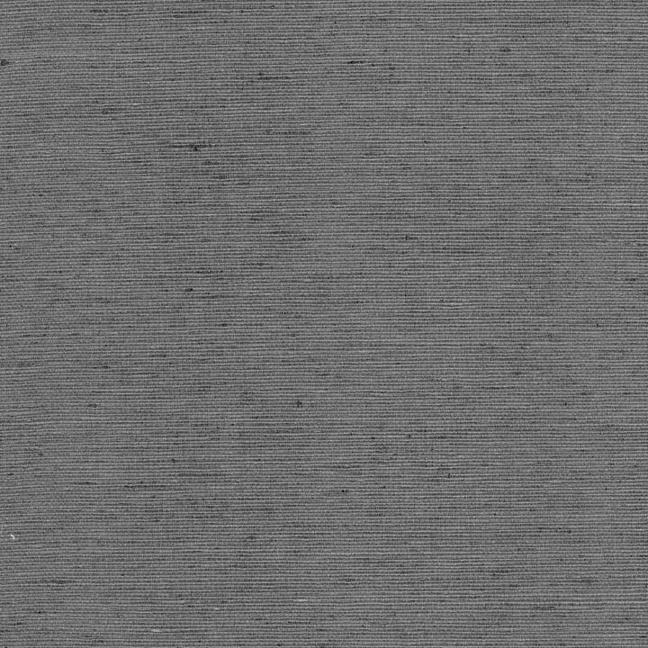 Bharat Charcoal by Kasmir Fabric 5101 100% Polyester INDIA 20,000 Martindale Cycles H: N/A, V:N/A 53 - 54 - Fabric Carolina - Kasmir
