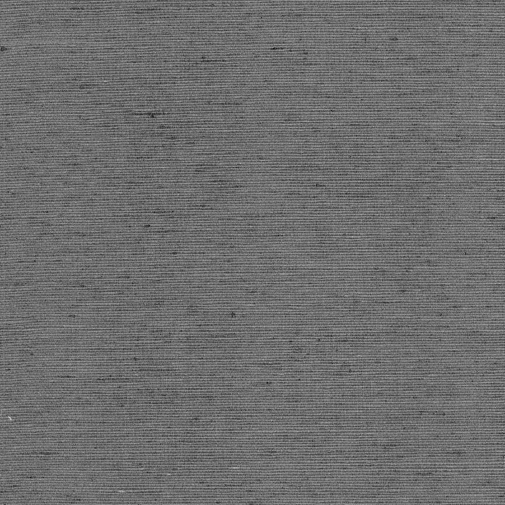 Bharat Charcoal by Kasmir Fabric 5101 100% Polyester
 INDIA </p><p>Repeat: Horizontal: N/A and Vertical: N/A 53 - 54 - Fabric Carolina -