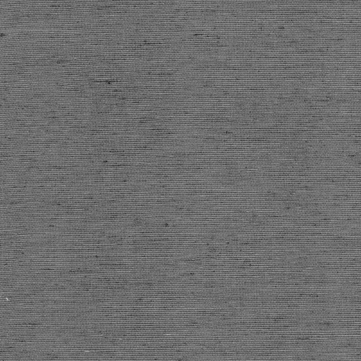 Bharat Charcoal by Kasmir Fabric 5101 100% Polyester
 INDIA </p><p>Repeat: Horizontal: N/A and Vertical: N/A 53 - 54 - Fabric Carolina -