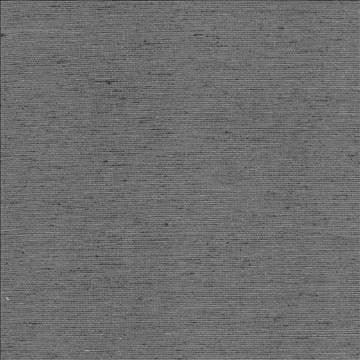 Bharat Charcoal by Kasmir Fabric 5101 100% Polyester INDIA 20,000 Martindale Cycles H: N/A, V: N/A 53 - 54 - Fabric Carolina - Kasmir
