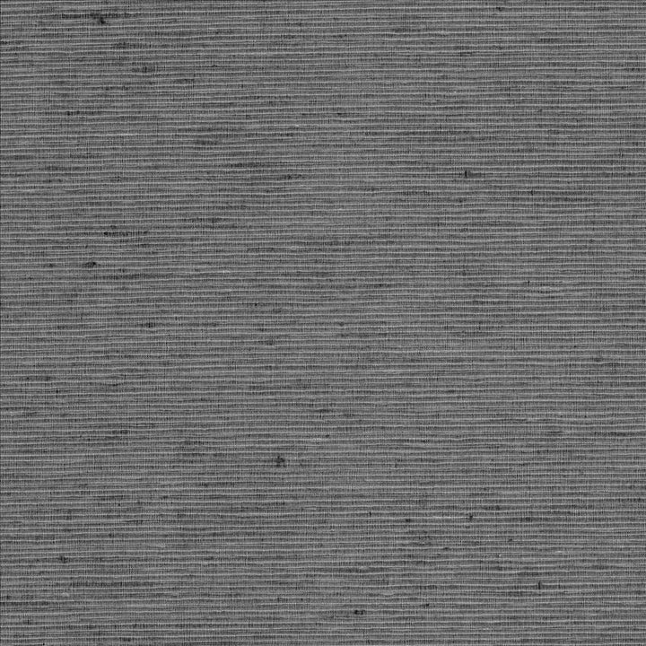 Bharat Charcoal  by Kasmir Fabric See sample 100% Polyester
 INDIA 20,000 Martindale Cycles </p><p>Repeat: Horizontal: N/A and Vertical: N/A 53  - Fabric Carolina -