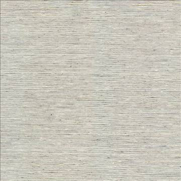 Bharat Fog by Kasmir Fabric 5100 100% Polyester INDIA 20,000 Martindale Cycles H: N/A, V: N/A 53 - 54 - Fabric Carolina - Kasmir
