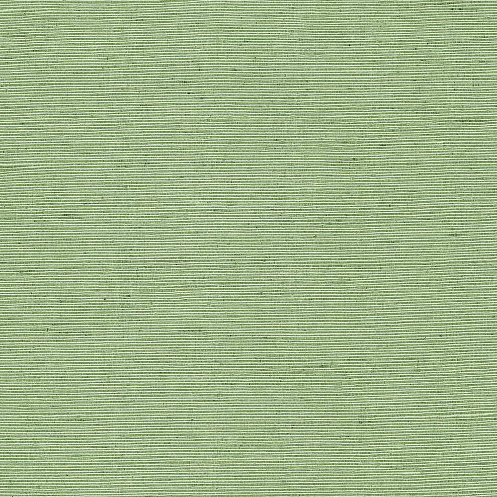 Bharat Forest by Kasmir Fabric 5099 100% Polyester INDIA 20,000 Martindale Cycles H: N/A, V:N/A 53 - 54 - Fabric Carolina - Kasmir