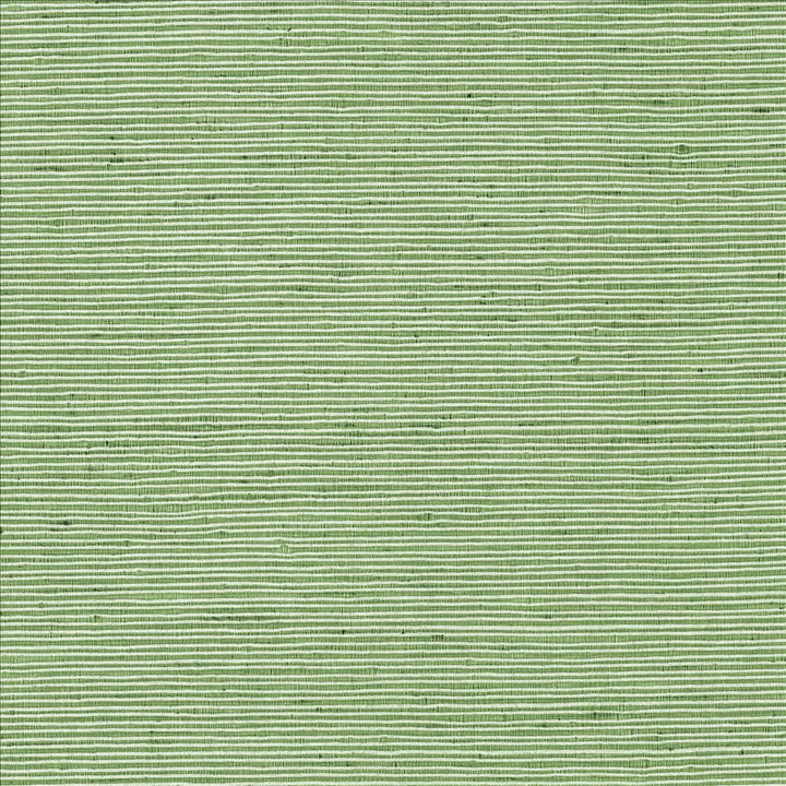 Bharat Forest by Kasmir Fabric 5099 100% Polyester
 INDIA </p><p>Repeat: Horizontal: N/A and Vertical: N/A 53 - 54 - Fabric Carolina -