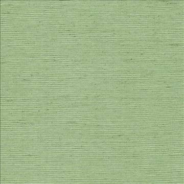 Bharat Forest by Kasmir Fabric 5099 100% Polyester INDIA 20,000 Martindale Cycles H: N/A, V: N/A 53 - 54 - Fabric Carolina - Kasmir