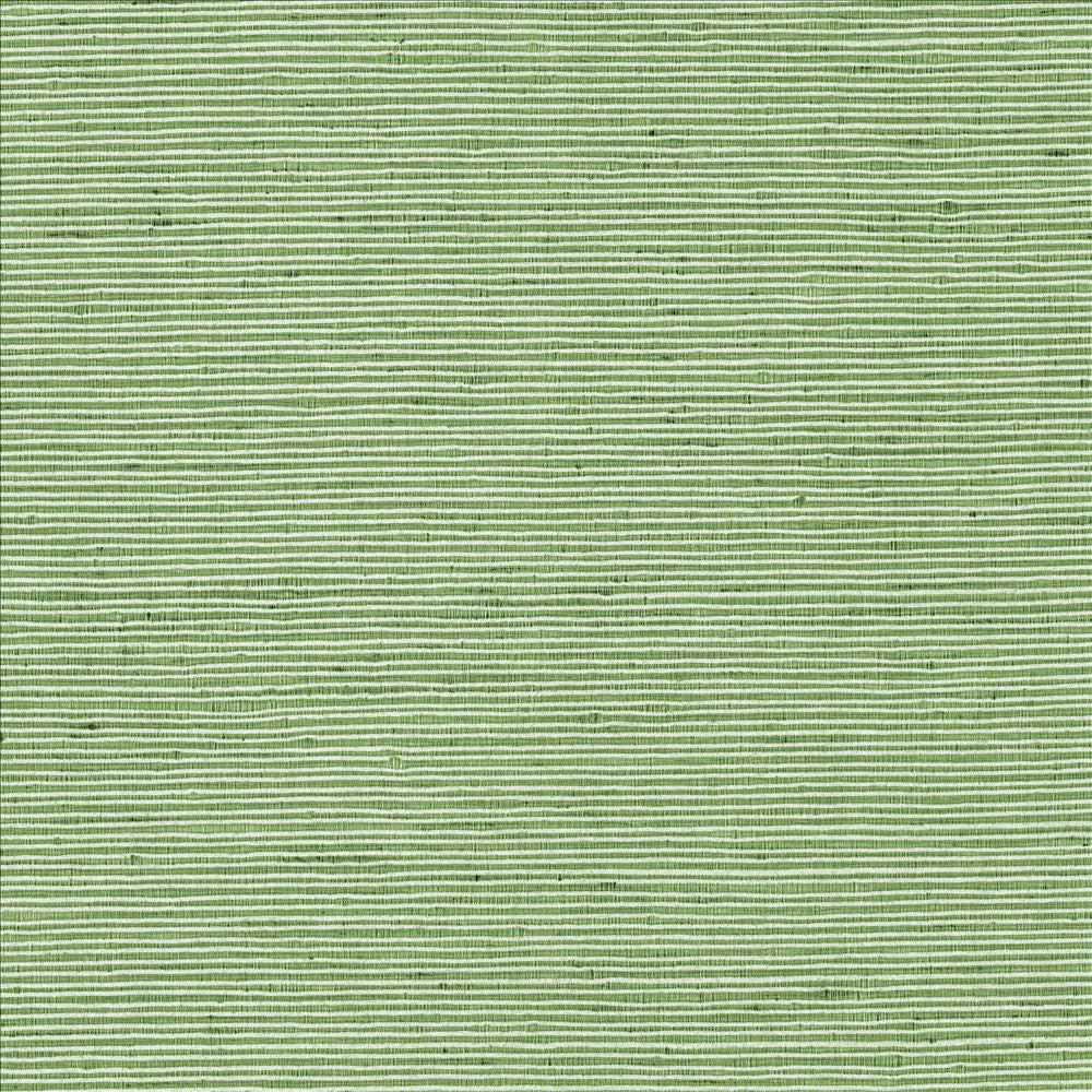 Bharat Forest by Kasmir Fabric 5099 100% Polyester
 INDIA 20,000 Martindale Cycles </p><p>Repeat: Horizontal: N/A and Vertical: N/A 53 - Fabric Carolina -