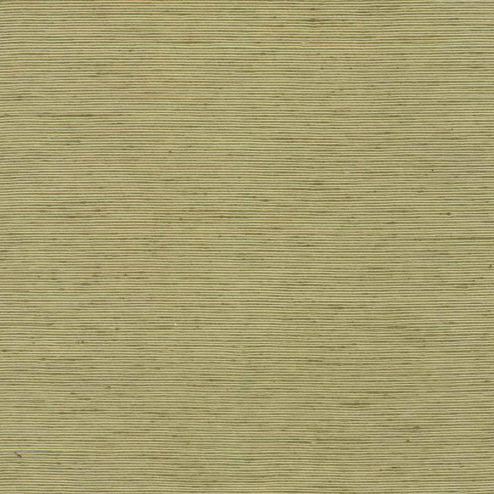Bharat Kiwi by Kasmir Fabric 5099 100% Polyester INDIA 20,000 Martindale Cycles H: N/A, V:N/A 53 - 54 - Fabric Carolina - Kasmir