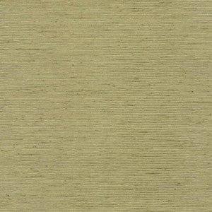 Bharat Kiwi by Kasmir Fabric