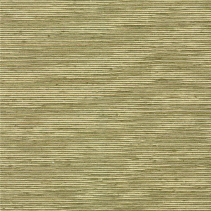 Bharat Kiwi by Kasmir Fabric 5099 100% Polyester
 INDIA 20,000 Martindale Cycles </p><p>Repeat: Horizontal: N/A and Vertical: N/A 53 - Fabric Carolina -