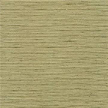 Bharat Kiwi by Kasmir Fabric 5099 100% Polyester INDIA 20,000 Martindale Cycles H: N/A, V: N/A 53 - 54 - Fabric Carolina - Kasmir