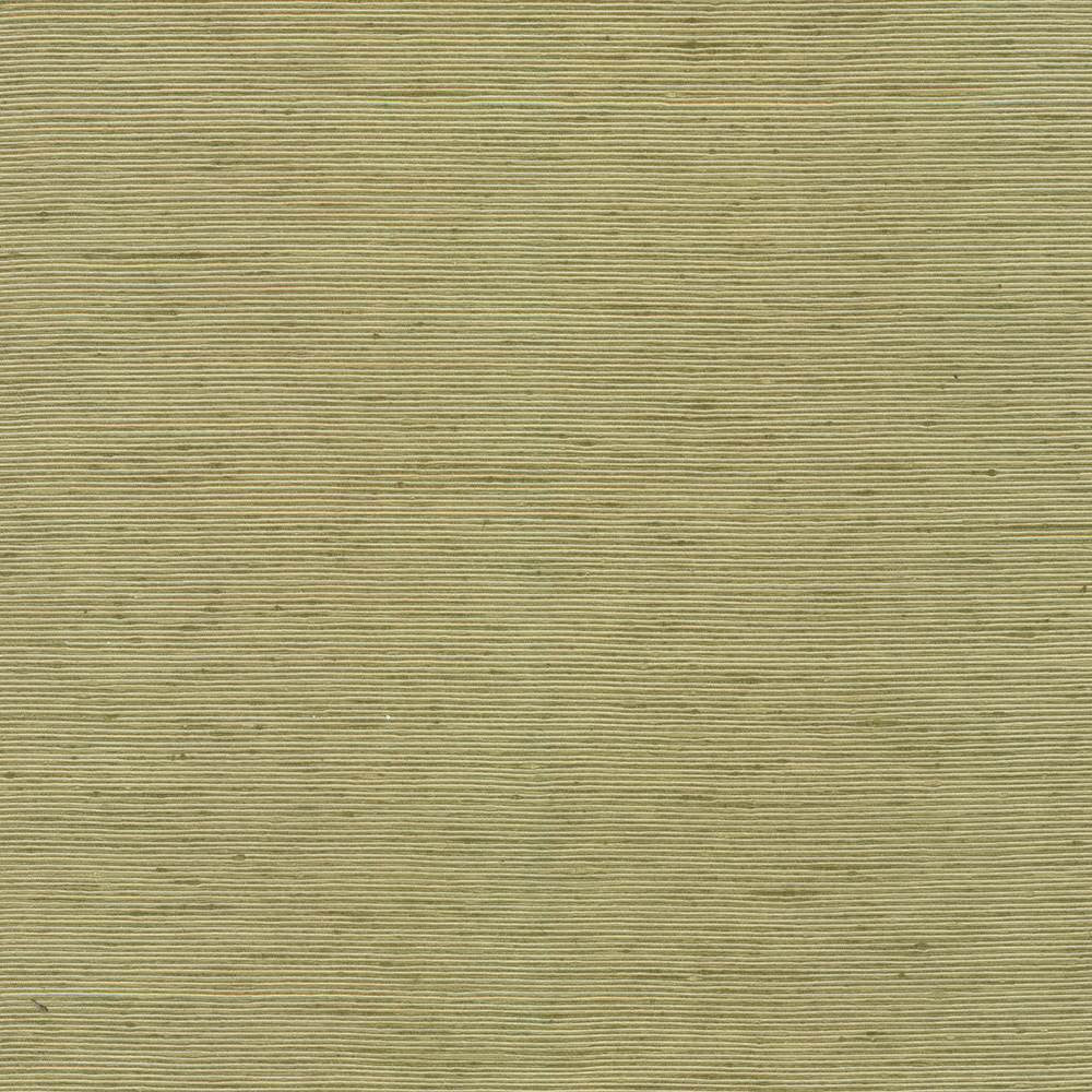 Bharat Kiwi by Kasmir Fabric 5099 100% Polyester
 INDIA </p><p>Repeat: Horizontal: N/A and Vertical: N/A 53 - 54 - Fabric Carolina -