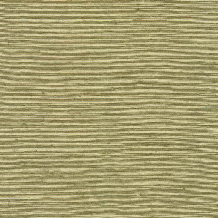 Bharat Kiwi by Kasmir Fabric 5099 100% Polyester
 INDIA </p><p>Repeat: Horizontal: N/A and Vertical: N/A 53 - 54 - Fabric Carolina -