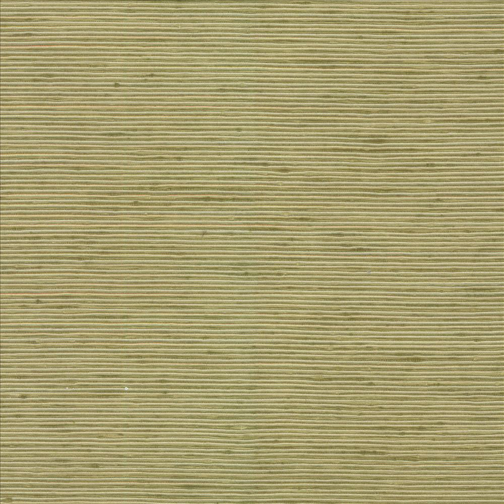 Bharat Kiwi  by Kasmir Fabric See sample 100% Polyester
 INDIA 20,000 Martindale Cycles </p><p>Repeat: Horizontal: N/A and Vertical: N/A 53  - Fabric Carolina -