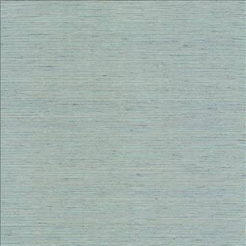 Bharat Lagoon by Kasmir Fabric 5098 100% Polyester INDIA 20,000 Martindale Cycles H: N/A, V: N/A 53 - 54 - Fabric Carolina - Kasmir