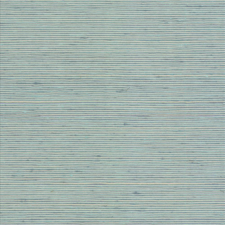 Bharat Lagoon by Kasmir Fabric 5098 100% Polyester
 INDIA 20,000 Martindale Cycles Horizontal: N/A and Vertical: N/A 53 - Fabric Carolina -