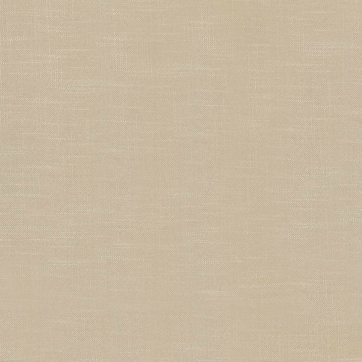 Big Sur Amberglow by Kasmir Fabric 1341 55% Rayon
45% Polyester
 TAIWAN 30,000 Wyzenbeek Double Rubs Horizontal: N/A and Vertical: N/A 54 - Fabric Carolina -