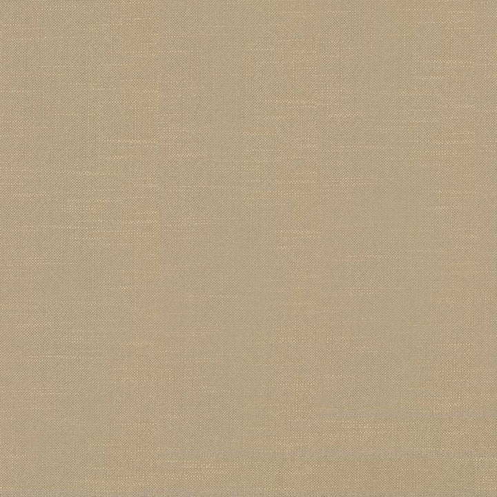 Big Sur Camel by Kasmir Fabric 1341 55% Rayon 45% Polyester TAIWAN 30,000 Wyzenbeek Double Rubs H: N/A, V:N/A 54 - 55 - Fabric Carolina - Kasmir
