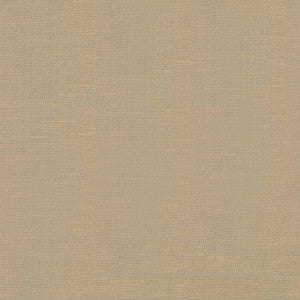 Big Sur Camel by Kasmir Fabric