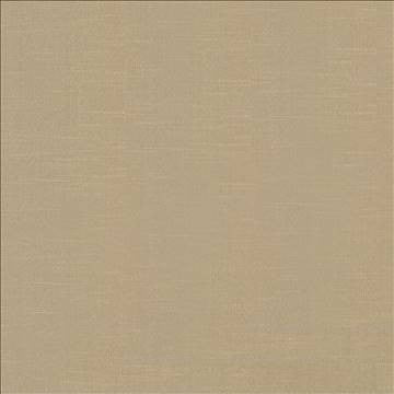 Big Sur Camel by Kasmir Fabric 5025 55% Rayon 45% Polyester TAIWAN 30,000 Wyzenbeek Double Rubs H: N/A, V: N/A 54 - 55 - Fabric Carolina - Kasmir