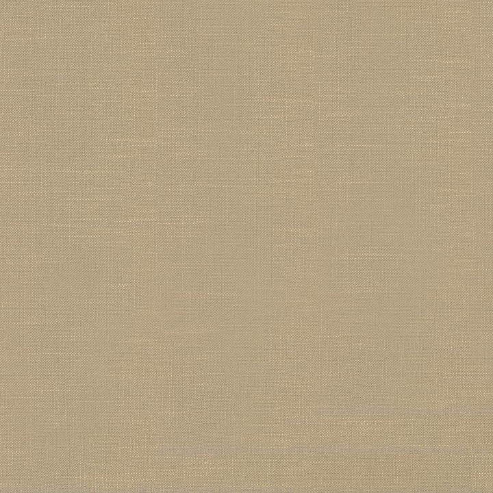 Big Sur Camel by Kasmir Fabric 1341 55% Rayon
45% Polyester
 TAIWAN 30,000 Wyzenbeek Double Rubs Horizontal: N/A and Vertical: N/A 54 - Fabric Carolina -